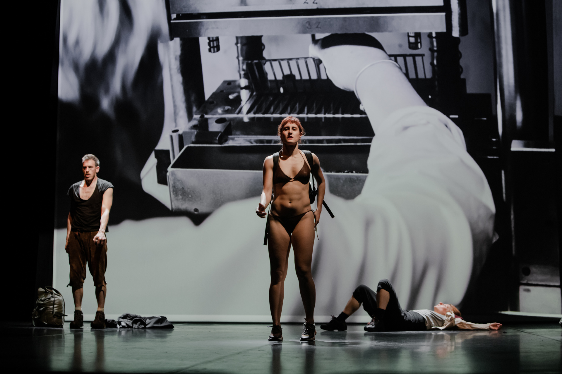 Hidra En Knap foto andrejlamut preview WEB izbor 9