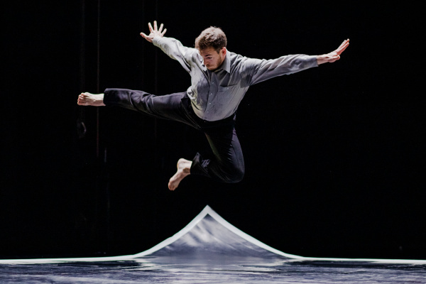 Vertigo Bird En Knap 2019 foto andrejlamut web 16